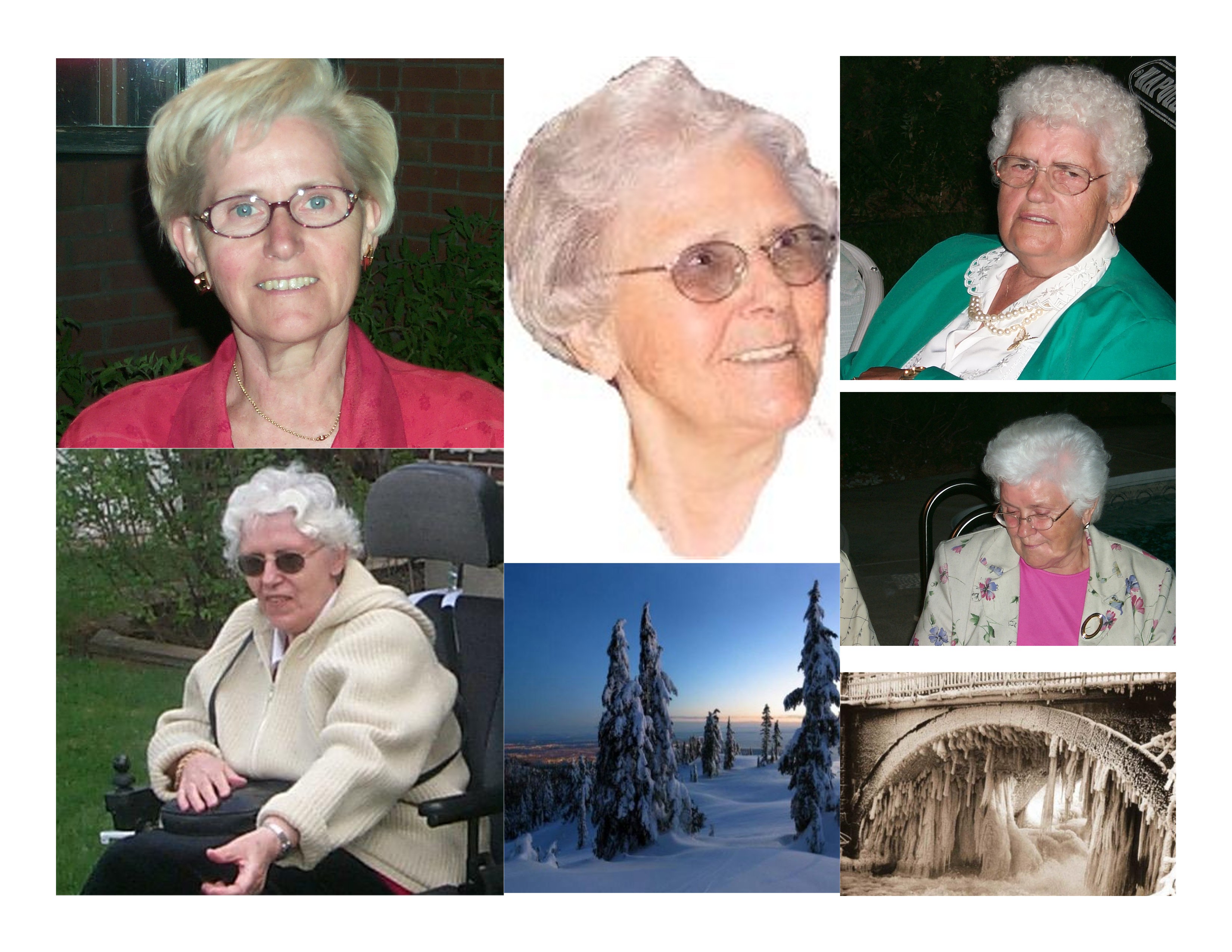 sheilas.jpg